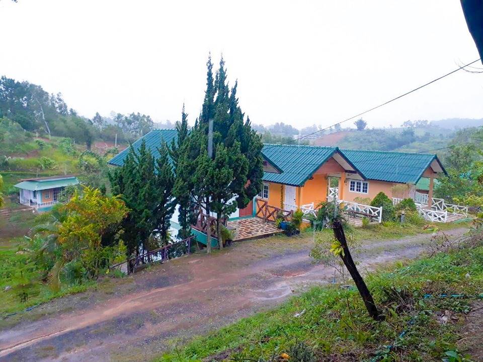 ที่พักเขาค้อน้องหมาพักได้