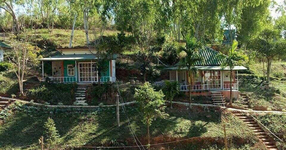 ที่พักเขาค้อน้องหมาพักได้