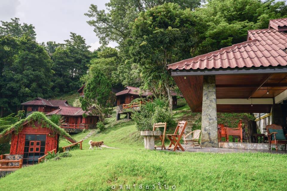 ที่พักเขาค้อน้องหมาพักได้
