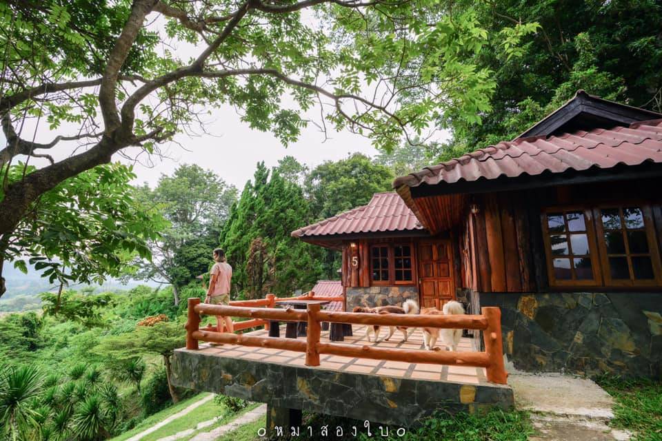 ที่พักเขาค้อน้องหมาพักได้