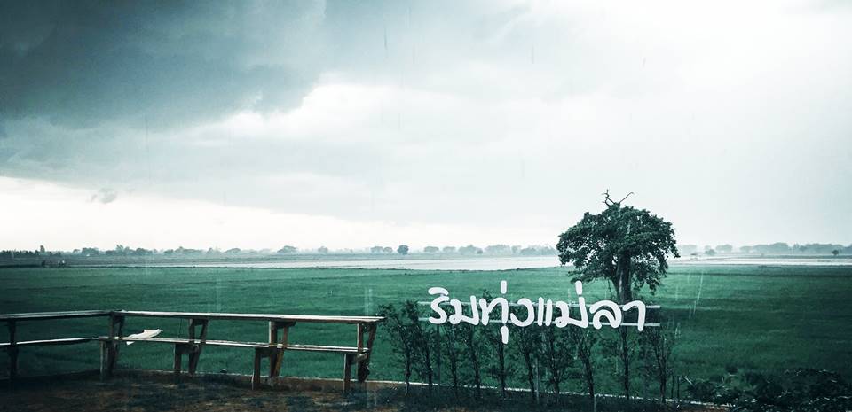 ที่พักสิงห์บุรีน้องหมาพักได้