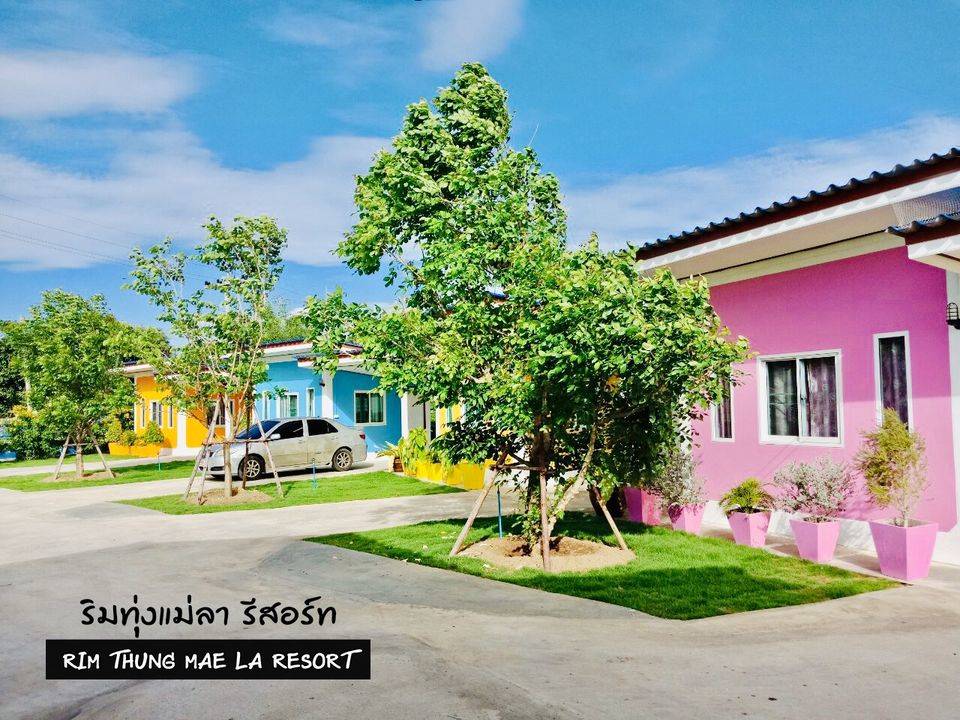ที่พักสิงห์บุรีน้องหมาพักได้