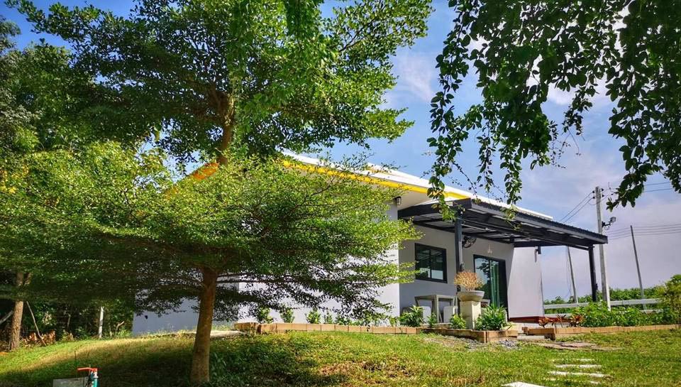 ที่พักใกล้เขาใหญ่หมาใหญ่พักได้