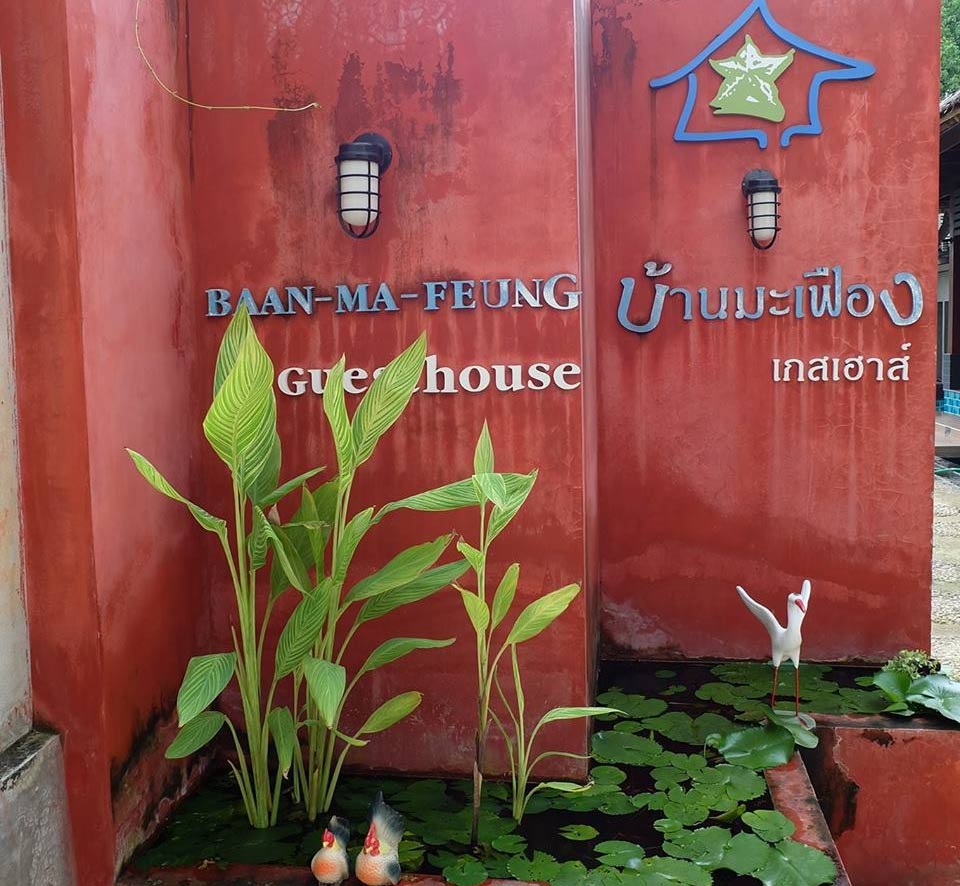 ที่พักเมืองกาญจนน้องหมาพักได้