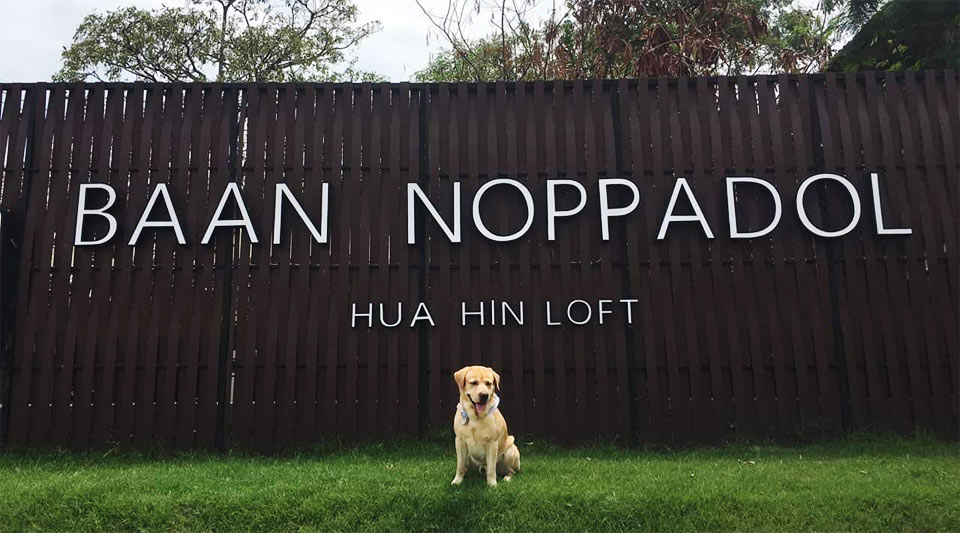 ที่พักหัวหินน้องหมาพักได้