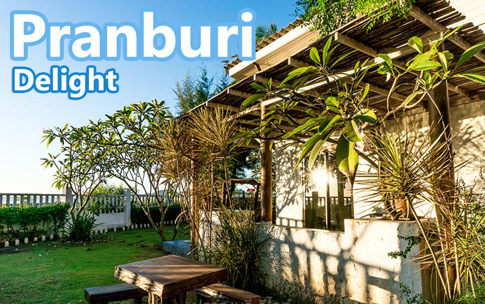 ปราณบุรีน้องหมาพักได้