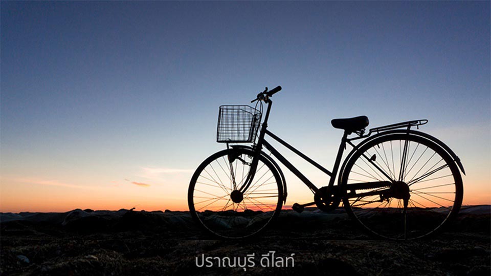 ปราณบุรีน้องหมาพักได้