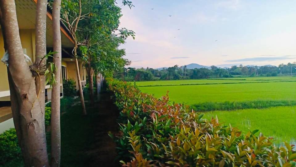 ที่พักใกล้ชะอำหมาพักได้