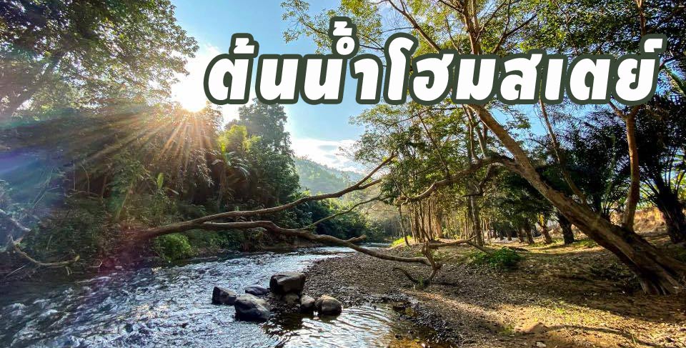 ที่พักสวนผผึ้งหมาพักได้