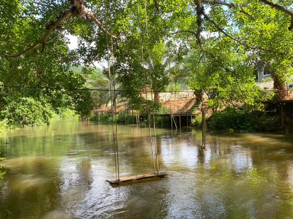 ที่พักสวนผึ้งหมาพักได้