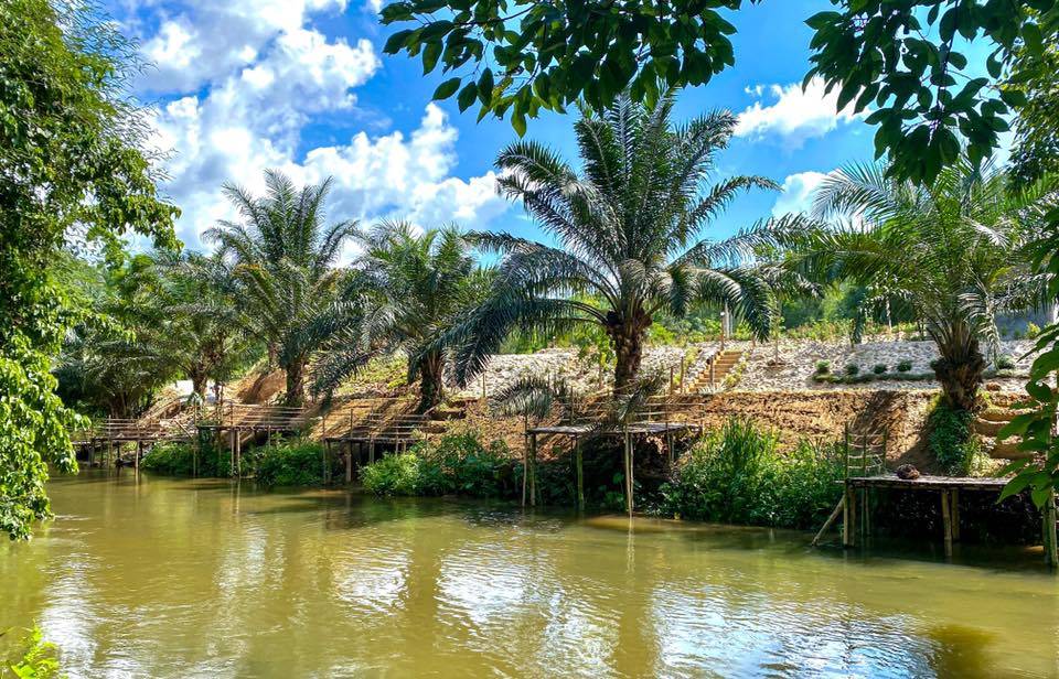 ที่พักสวนผึ้งหมาพักได้