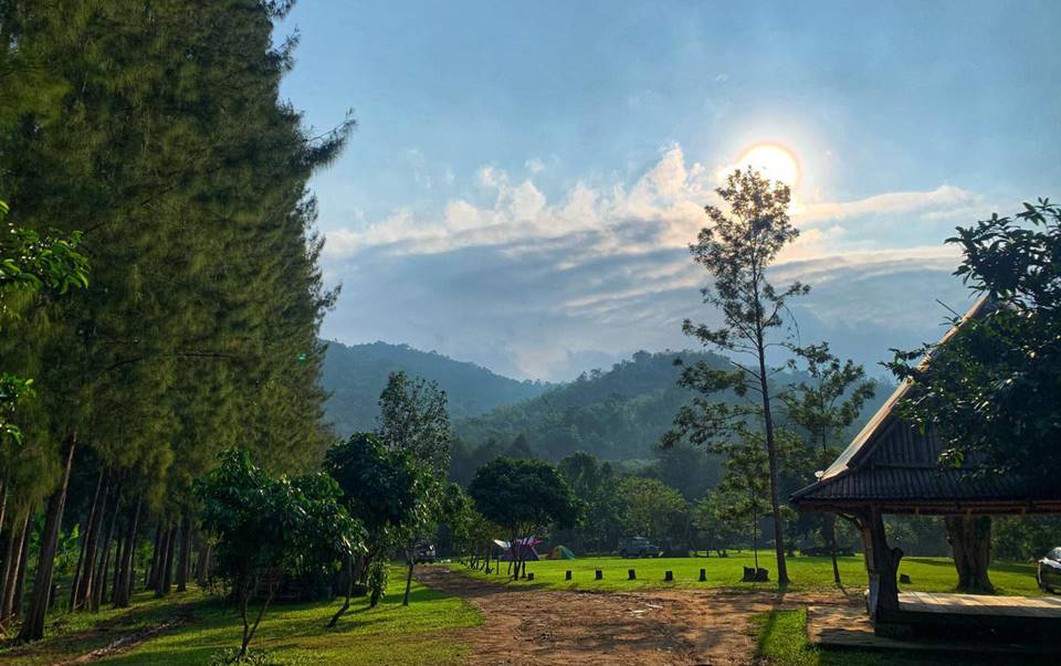 ที่พักกางเต็นท์สวนผึ้งหมาพักได้