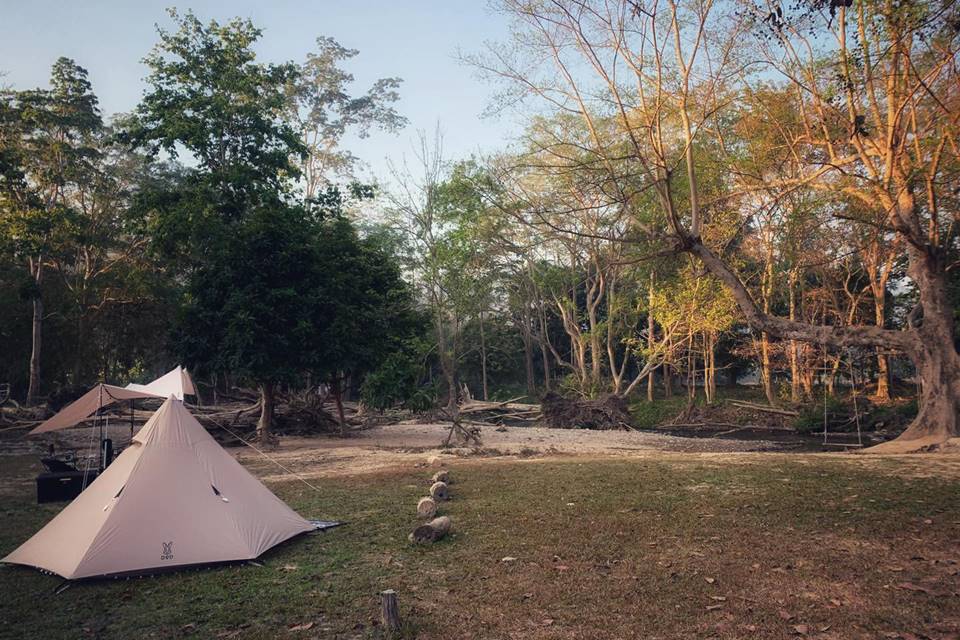 ที่พักกางเต็นท์สวนผึ้งหมาพักได้