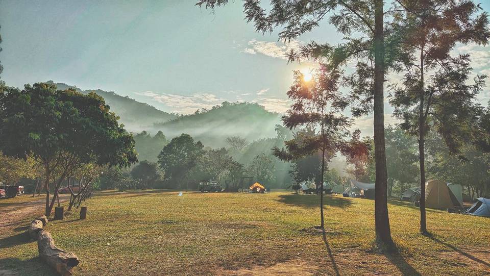 ที่พักกางเต็นท์สวนผึ้งหมาพักได้