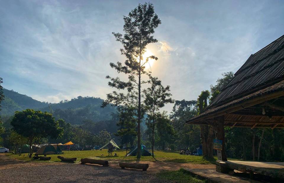 ที่พักกางเต็นท์สวนผึ้งหมาพักได้