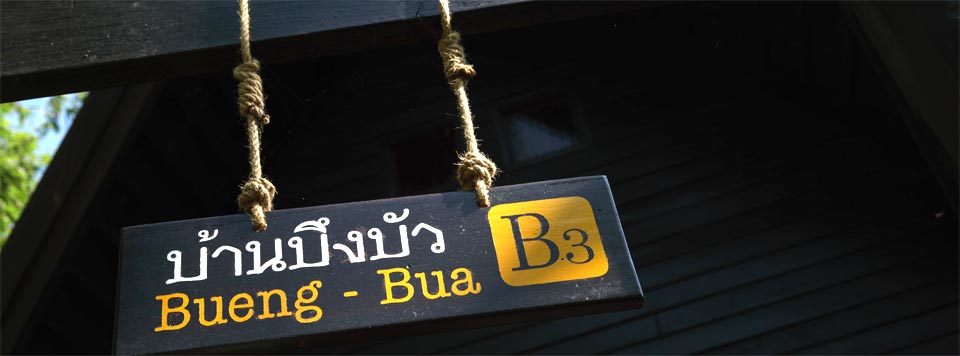 ไร่แสงอรุณ เชียงรายน้องหมาพักได้