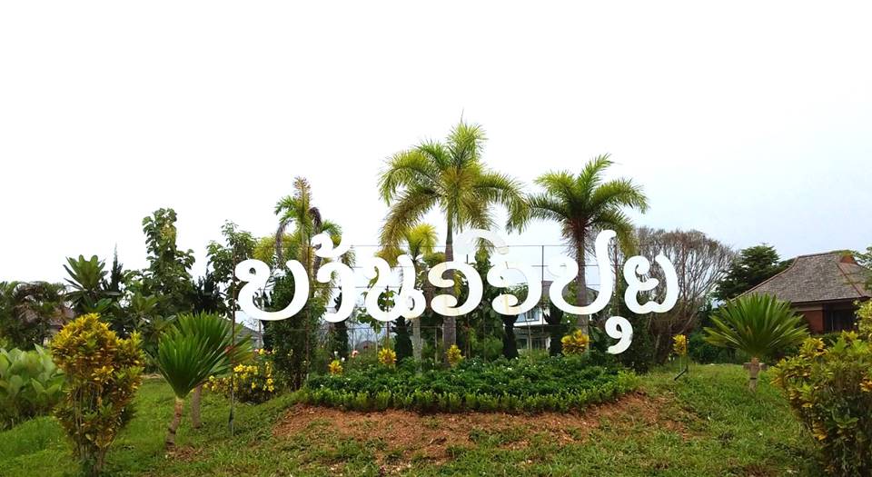 ที่พักเชียงรายในเมืองหมาพักได้