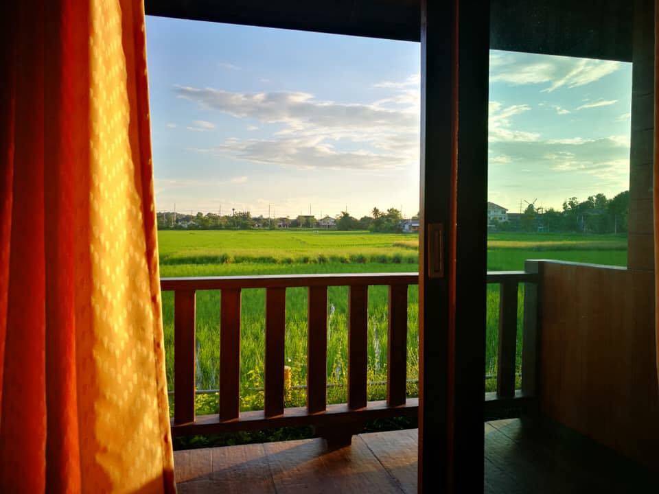 ที่พักเชียงรายในเมืองหมาพักได้