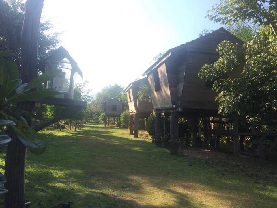 ที่พักเชียงรายหมาพักได้