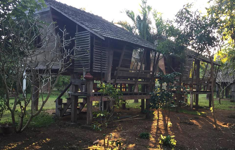 ที่พักเชียงรายหมาพักได้