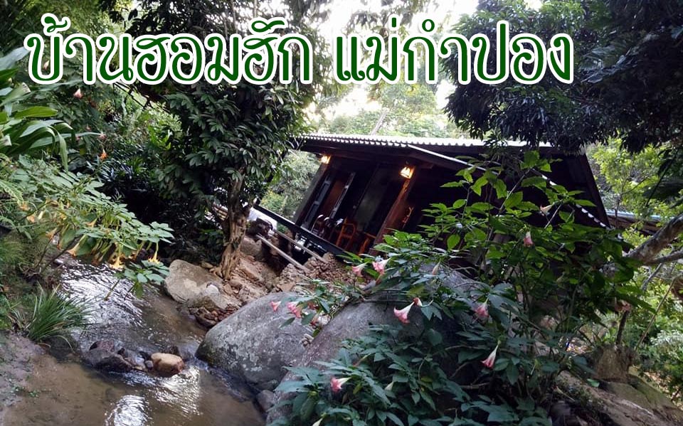 ที่พักแม่กำปองน้องหมาพักได้