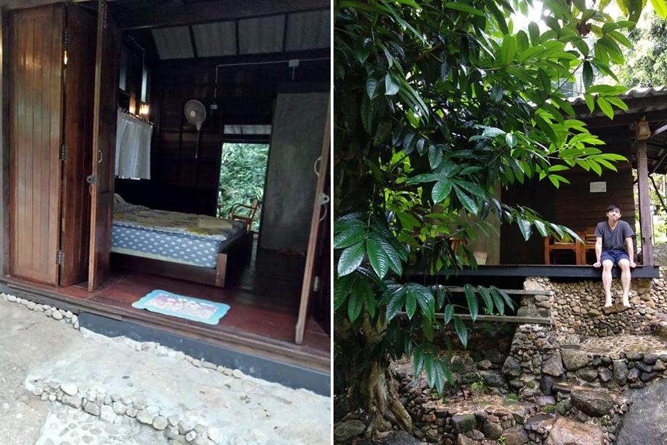 ที่พักแม่กำปองน้องหมาพักได้