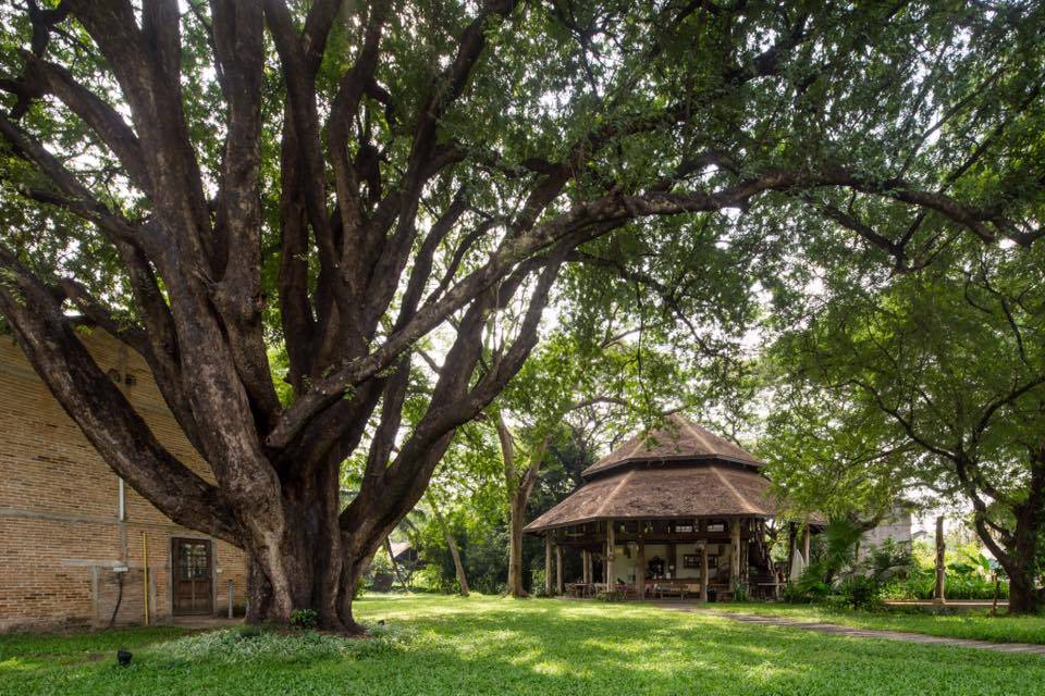 ที่พักสันป่าตองเชียงใหม่น้องหมาพักได้