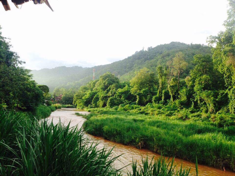ที่พักแม่แตงน้องหมาพักได้