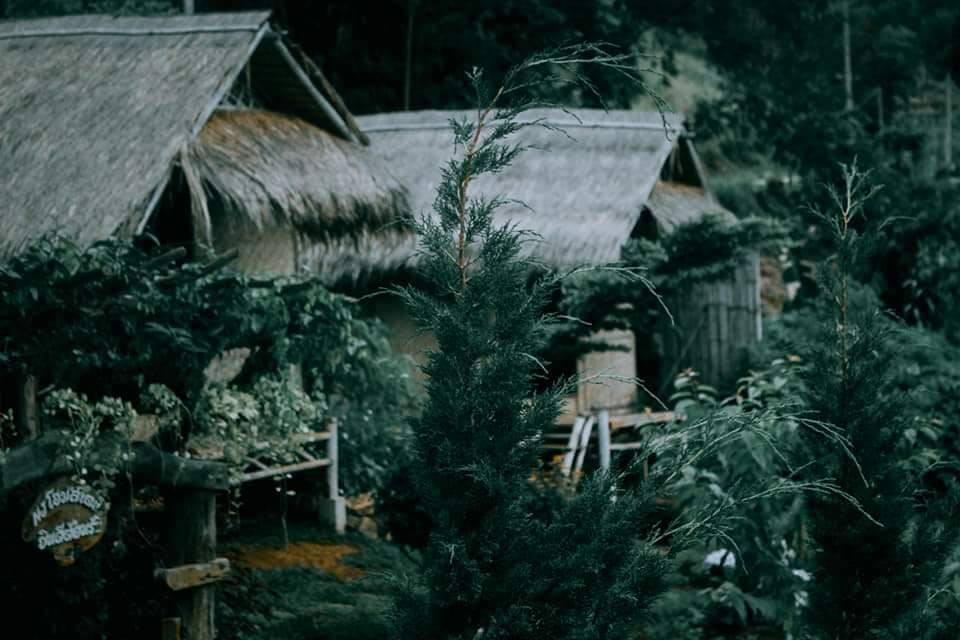 ที่พักม่อนแจ่มน้องหมาพักได้