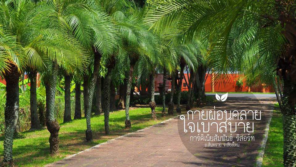 ที่พักเชียงใหม่น้องหมาพักได้