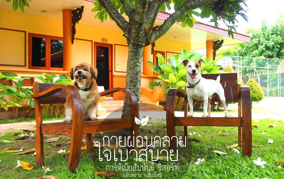 ที่พักเชียงใหม่น้องหมาพักได้