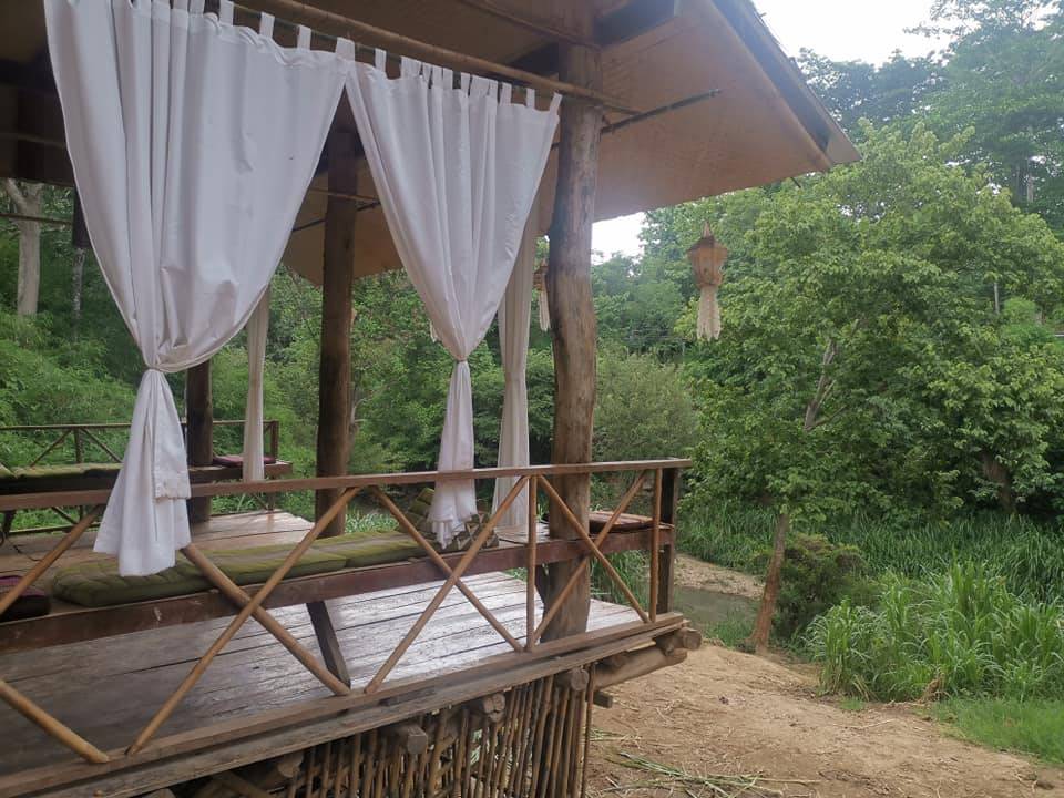 ที่พักแม่วางเชียงใหม่หมาพักได้
