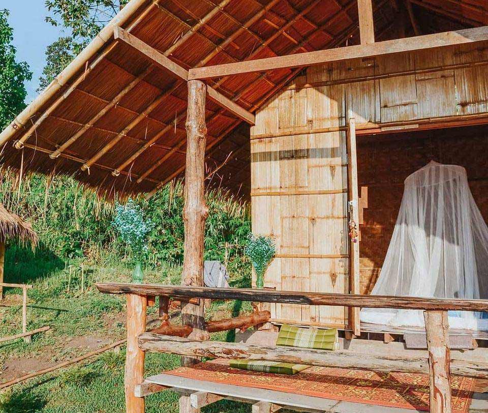 ที่พักแม่วางเชียงใหม่หมาพักได้