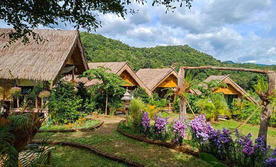 ที่พักแม่วางเชียงใหม่หมาพักได้