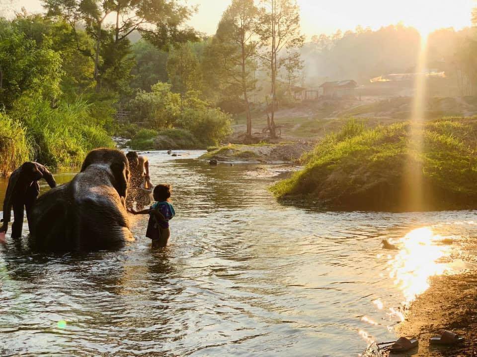 ที่พักแม่วางเชียงใหม่หมาพักได้