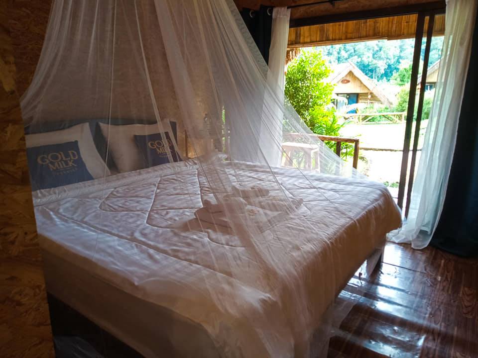 ที่พักแม่วางเชียงใหม่หมาพักได้