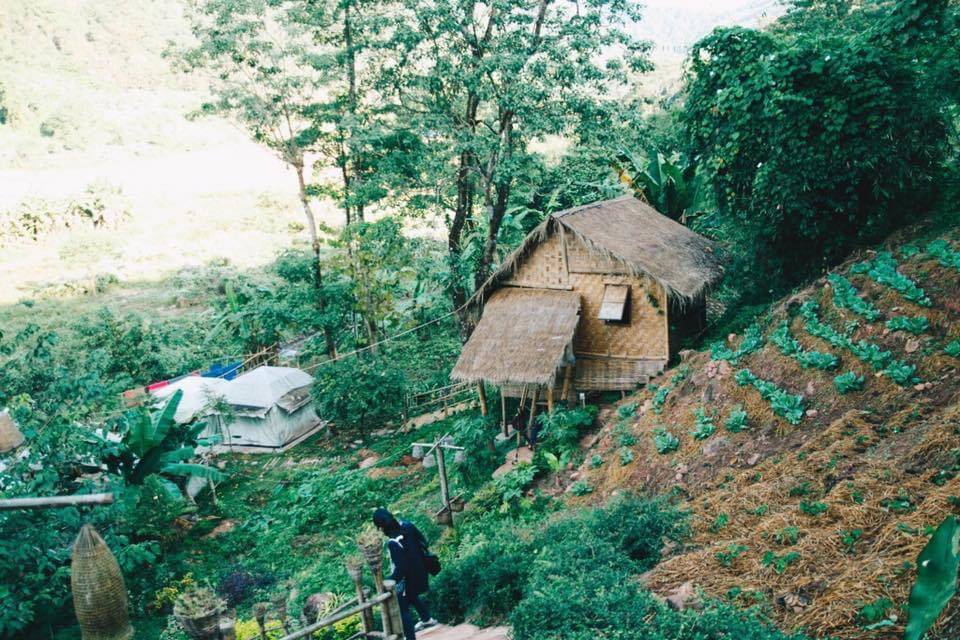 ที่พักบ่อเกลือน่านน้องหมาพักได้