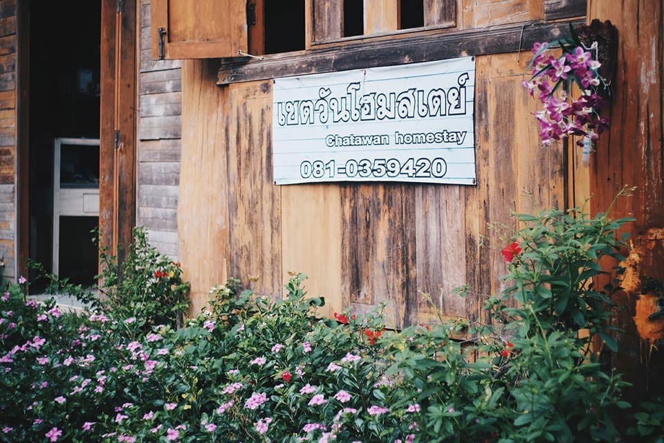 เที่ยวแพร่พักเชตวันโฮมสเตย์น้องหมาพักได้