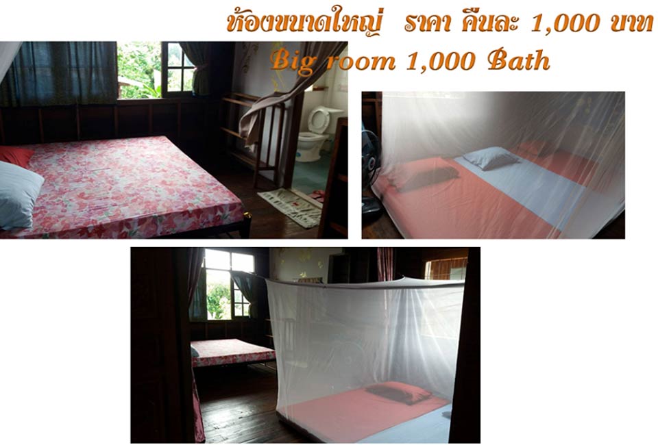 เที่ยวแพร่พักเชตวันโฮมสเตย์น้องหมาพักได้
