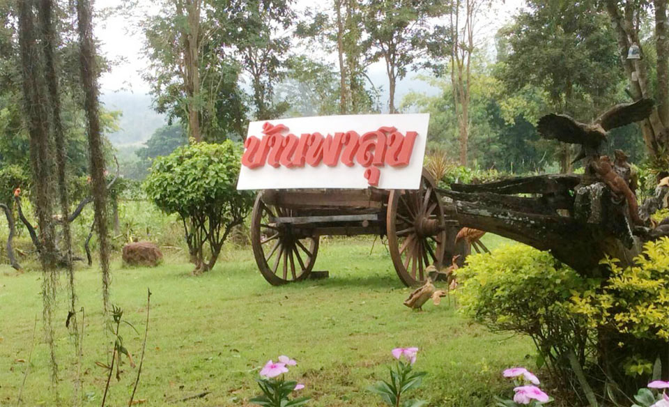 ที่พักปาย บ้านพาสุขน้องหมาพักได้
