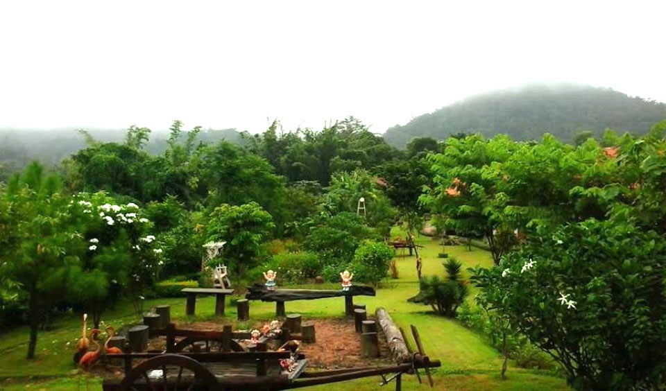 ที่พักปาย บ้านพาสุขน้องหมาพักได้