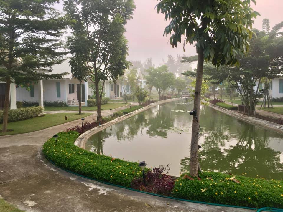ที่พักป่าซางลำพูนหมาพักได้