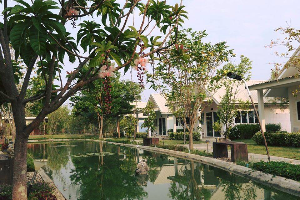 ที่พักป่าซางลำพูนหมาพักได้