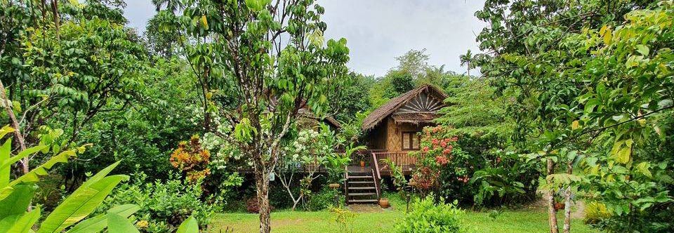 ที่พักกระบี่หมาพักได้