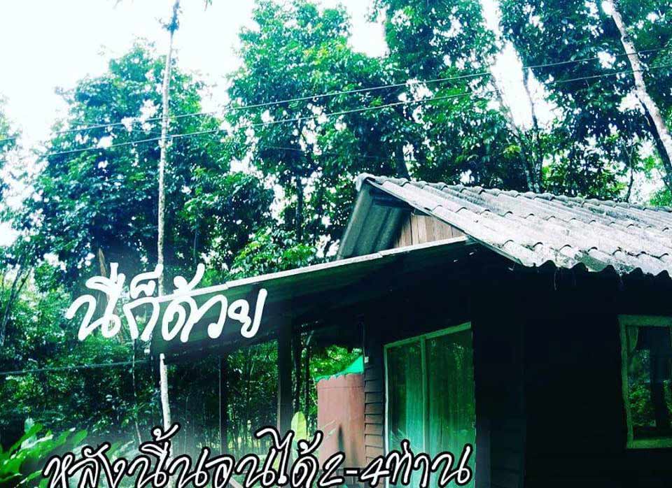 ที่พักสตูลน้องหมาพักได้