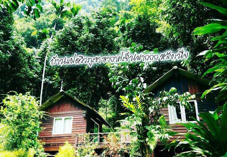 ที่พักสตูลน้องหมาพักได้