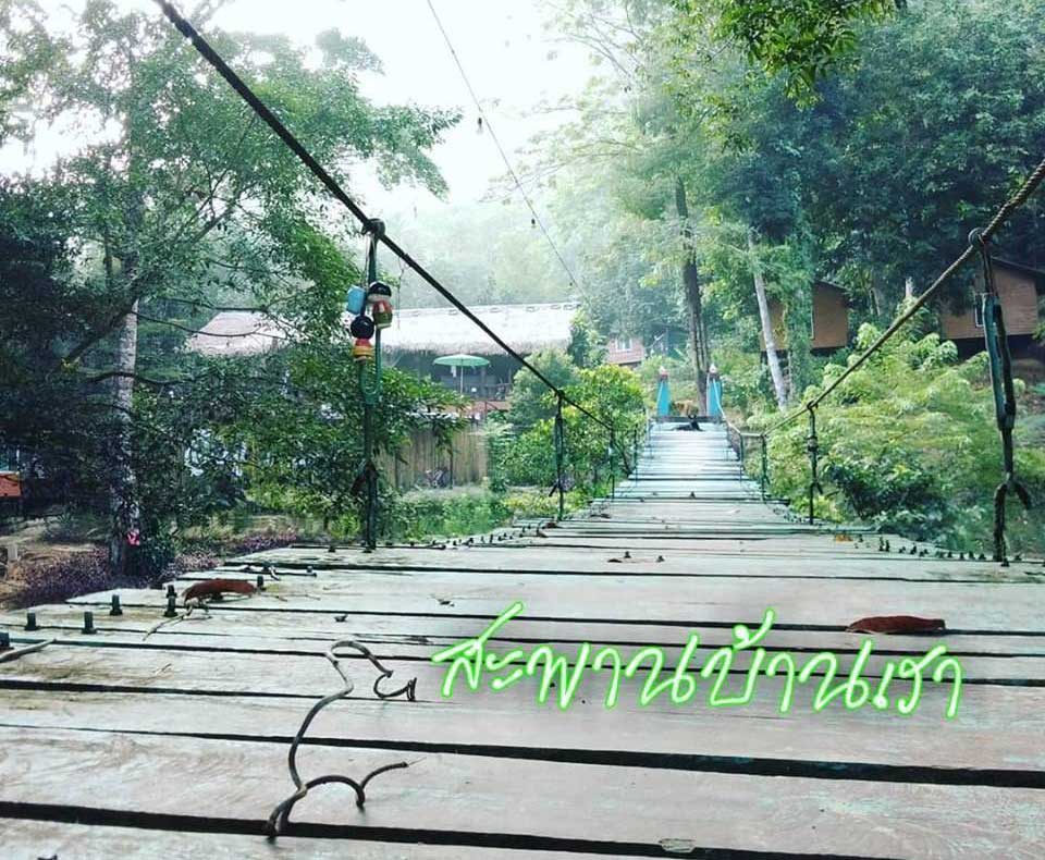 ที่พักสตูลน้องหมาพักได้