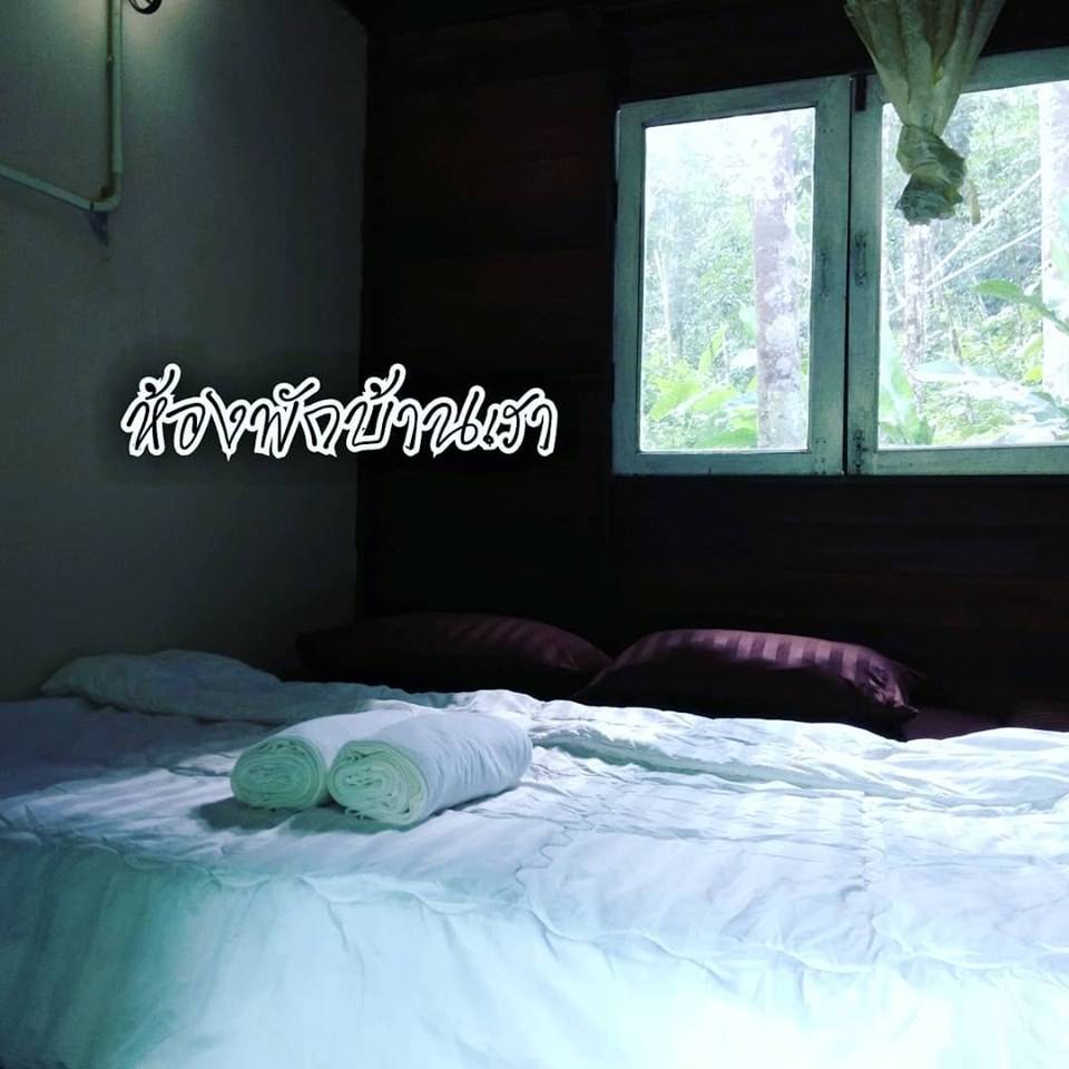 ที่พักสตูลน้องหมาพักได้