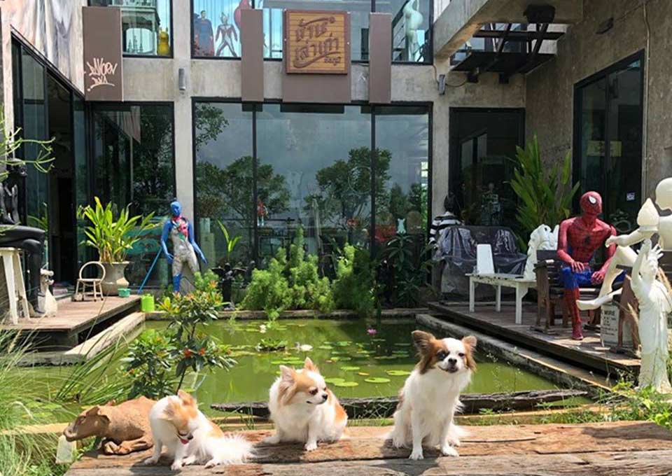 ที่พักชัยภูมิน้องหมาพักได้