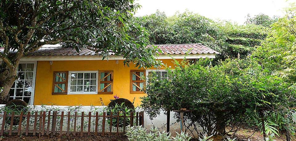 ที่พักเขาใหญ่น้องหมาพักได้